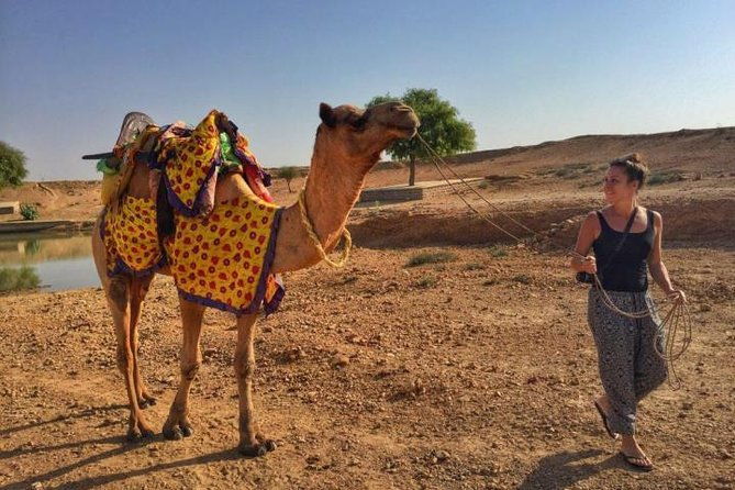 Overnight Camping With Camel Safari In Jaisalmer - Authentic Experience Backed by Positive Reviews