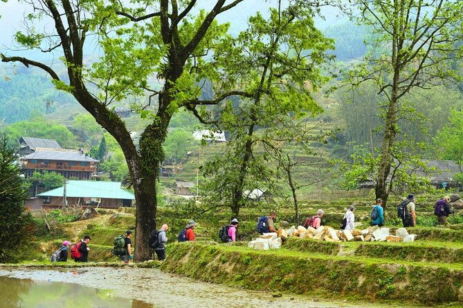 Overnight homestay in Sapa 2 days 1 night - Final Thoughts: Is This Tour Right for You?