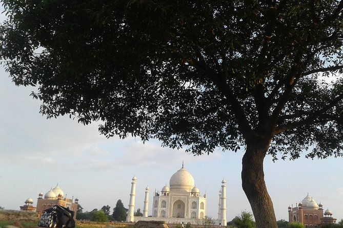 Overnight tour of Agra Taj Mahal Sunset & Sunrise from Delhi - Is This Tour Worth It?