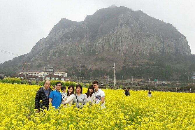 Package tour of All areas of Jeju Island-(East &South &West) - Authentic Traveler Insights