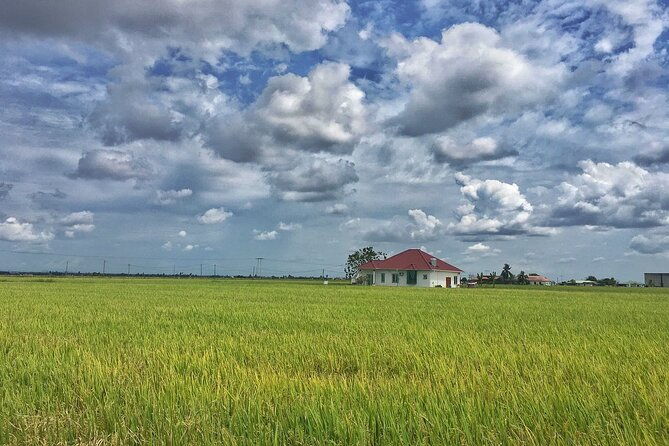 Paddy Field, Fishing Village Sekinchan DAY Tour Lunch (SIC-Shared/Join In Tour) - Who Would Love This Tour?