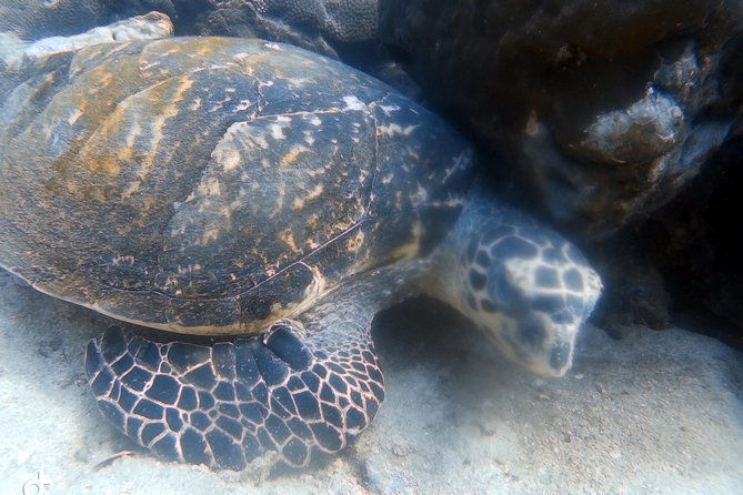 Padi open water diver course (Start at Ko Kut) - The Itinerary Breakdown