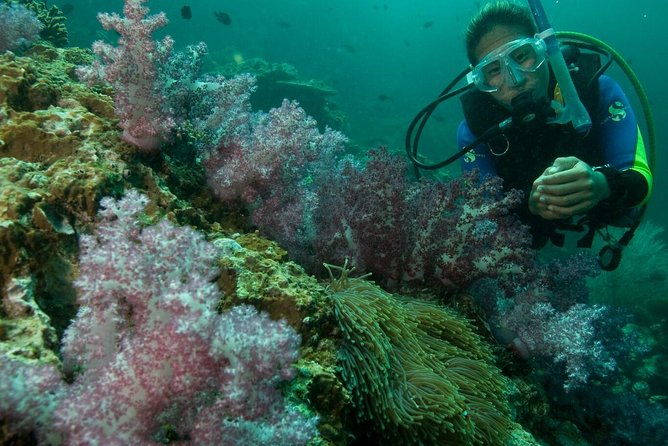 PADI Scuba Diver Course - Whats Included & Whats Not