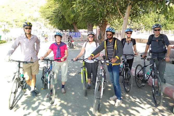 Panorama Bike Tour - Authentic Insights from Past Travelers