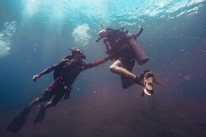 Pattaya PADI Scuba Diving Two Exciting Try Dives with PADI Instructor in Pattaya - The Sum Up