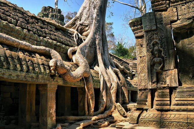 Personalised Angkor Wat Sunrise Off-the-Beaten Track Tour - Final Thoughts