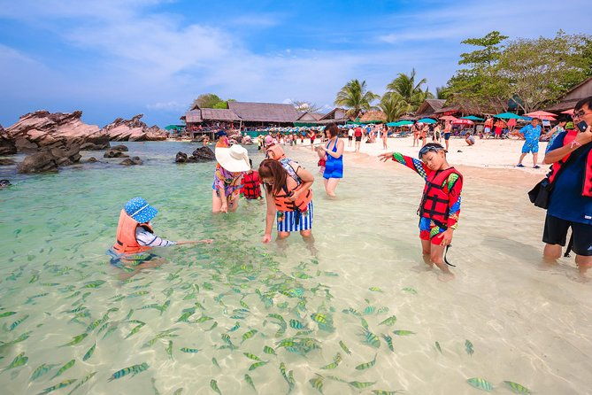 Phi Phi Island from Phuket by Speedboat (SHA Plus) - What We and Others Think