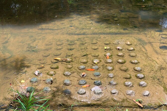 Phnom Kulen National Park Tour - Who Would Love This Tour?