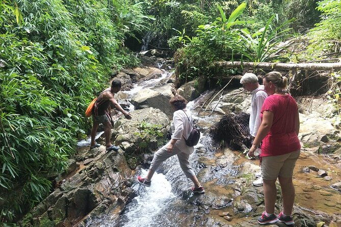Phuket Jungle Trekking Experience at Khao Phra Taew National Park - Why the Experience Is Worth It