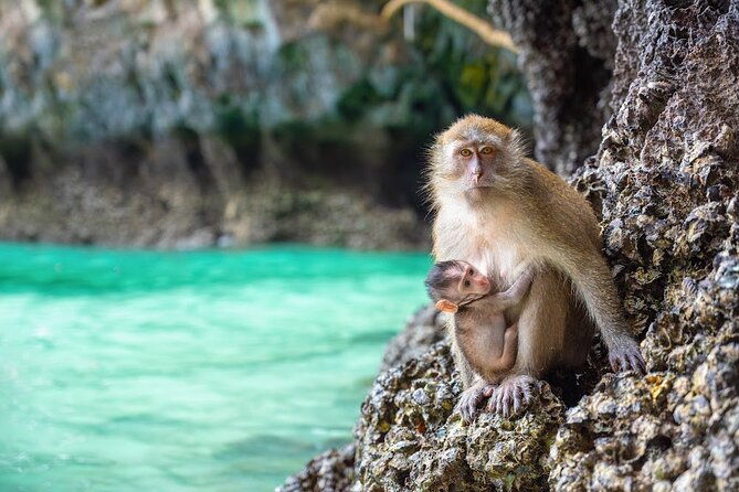 Phuket: Wow Andaman Snorkeling Trip to Phi Phi & Bamboo Islands - Who Would Love This Tour?
