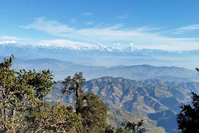 Phulchoki bird-watching tour - Authentic Insights from Past Travelers
