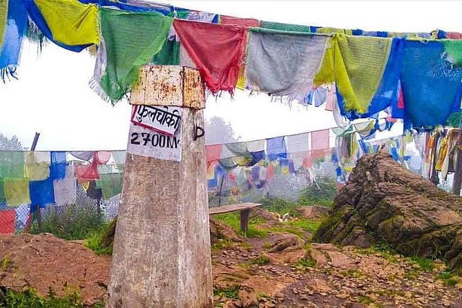 Phulchowki day hiking - Is This Tour Right for You?