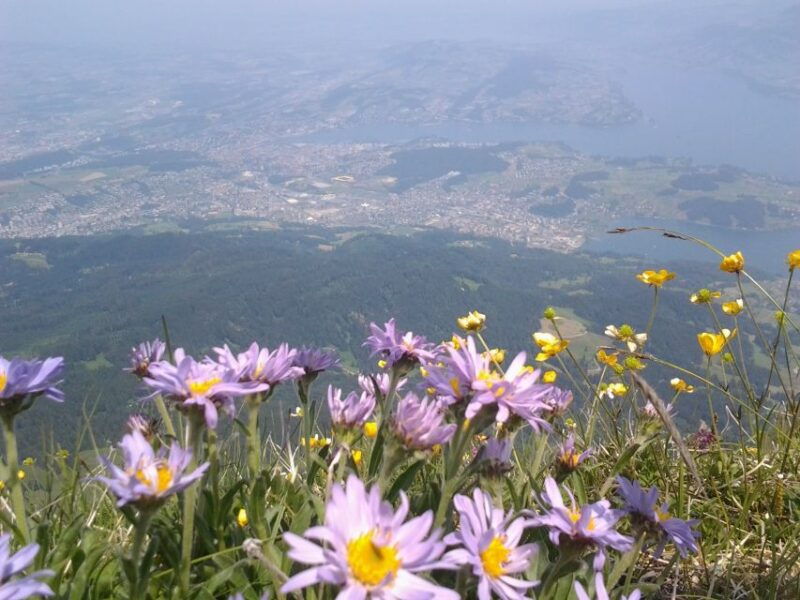 Pilatus: Exclusive Private Golden Round Trip from Lucerne - Final Thoughts