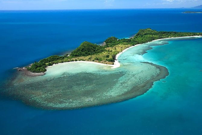 Pink Dolphin Spotting & Snorkelling Day Tour At Pigs Island - Final thoughts
