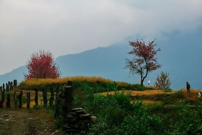 Pokhara 3 Days Ghorepani and Poon Hill Private Trek via Ghandruk - Transportation and Logistics
