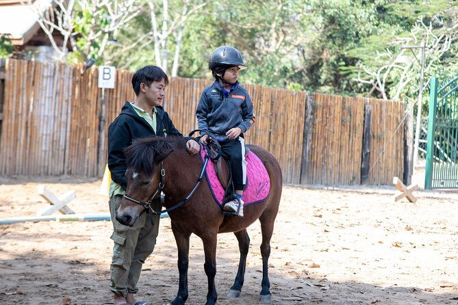 Pony Riding in Luang Prabang - Analyzing Value: Is It Worth It?