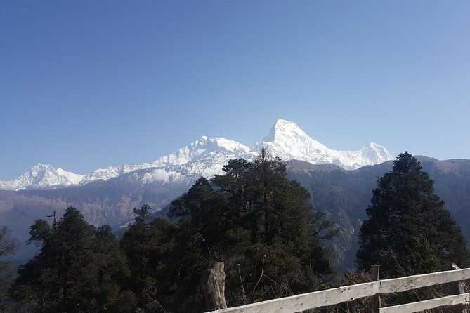 Poon hill Trek 3 days - The Practical Details That Matter