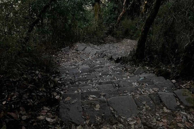 Popular One-Day Hiking Options near Kathmandu - Who Should Consider This Tour?