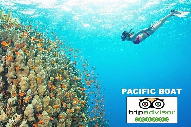 PREMIUM snorkel & islands hopping by SPEEDBOAT-Seafood BBQ(MAX12) - The Value of the Tour