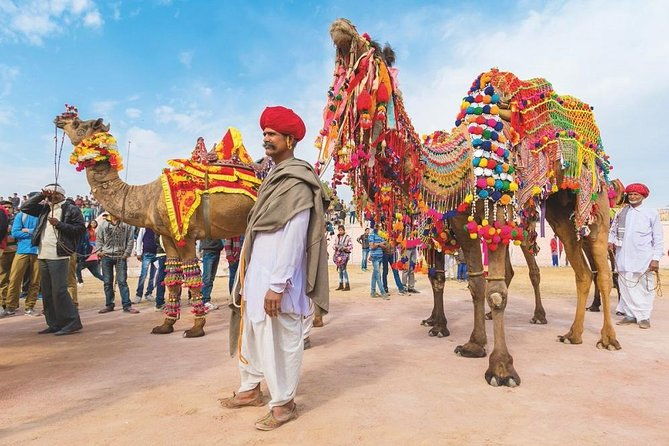 Private 11 Days India Cultural Rajasthan Tour - Authentic Experiences and Hidden Gems