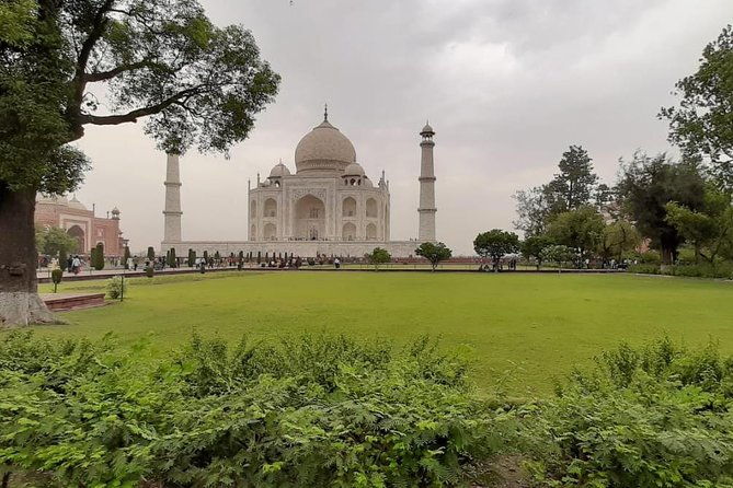 Private 3-Day Ranthambhore Tiger Tour from Agra ending in Jaipur - Day 2: Wildlife Safari Adventures