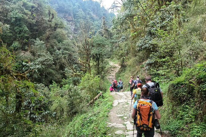 Private 4 - Day Poon Hill Trekking - Final Thoughts
