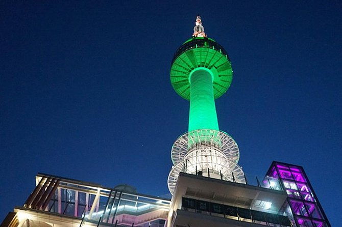 Private 4 days Nami Island&Petite France&Seoul&Everland tour - Who Should Book This Tour?