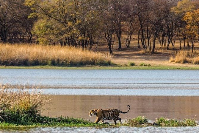 Private 5-Day Ranthambhore Tiger Tour from Delhi including the Taj Mahal, Agra and Jaipur - FAQ