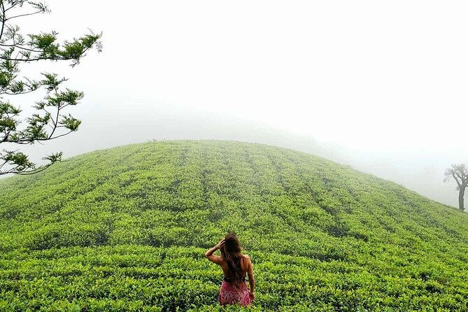 Private 7 Days Sri Lanka Tour with Safari and Cultural sites - FAQ