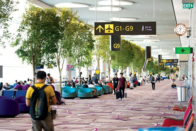 Private Arrival Transfer From Singapore Airport or Port to Hotel - The Experience and Service Quality