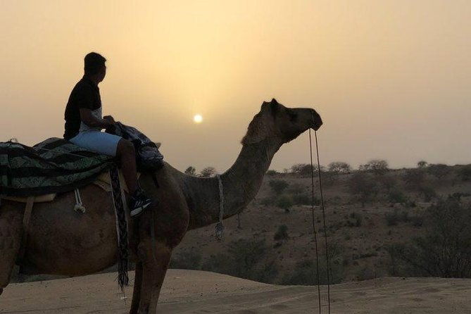 Private Arrival Transfer: Jodhpur Airport (JDH) to Jodhpur Hotels - Final Thoughts
