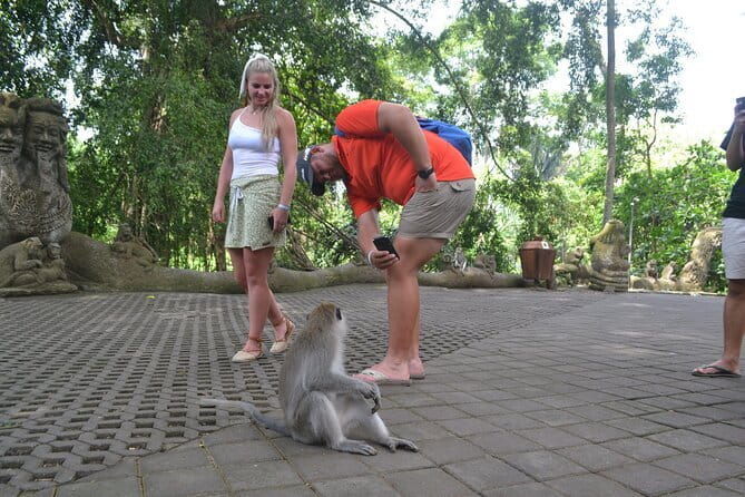 Private Bali Customized Tours - Value for Money