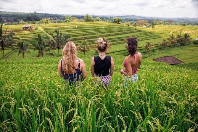 Private Bali Tour: The Most Scenic Places - Authentic Experiences and Insights from Reviews