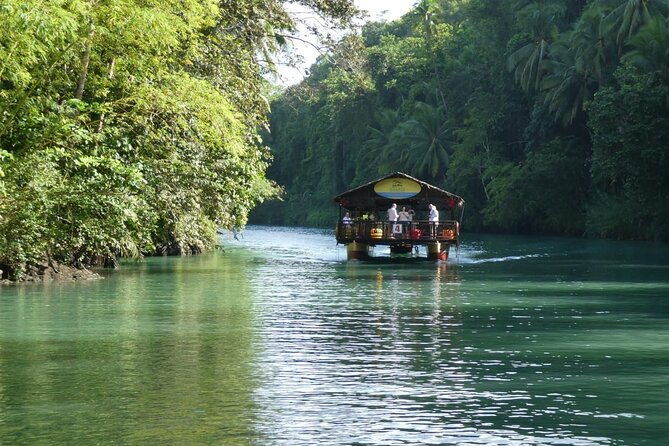 Private Bohol and Chocolate Hills with Loboc River Cruise - Final Thoughts