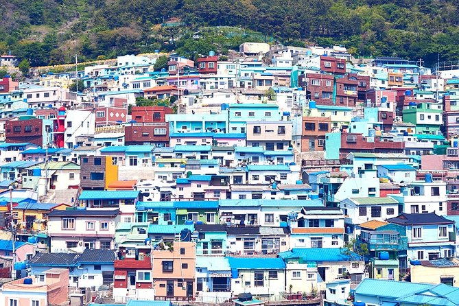 Private Busan Tour with hidden gem of Busan by Local Guide - Why the Tour Offers Excellent Value