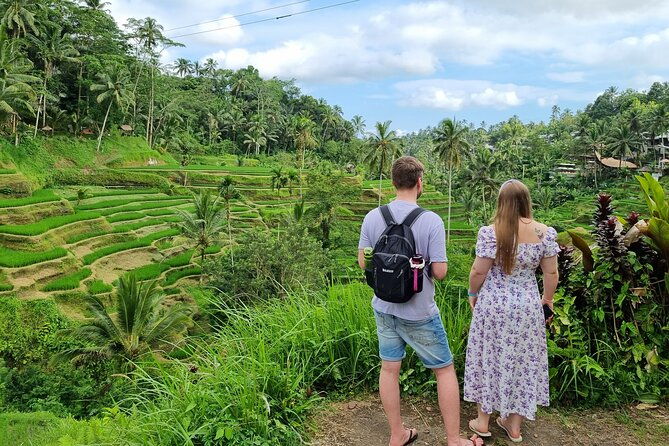 Private Customizable Bali Tour Visit with Transfer Included - Who Is This Tour Perfect For?