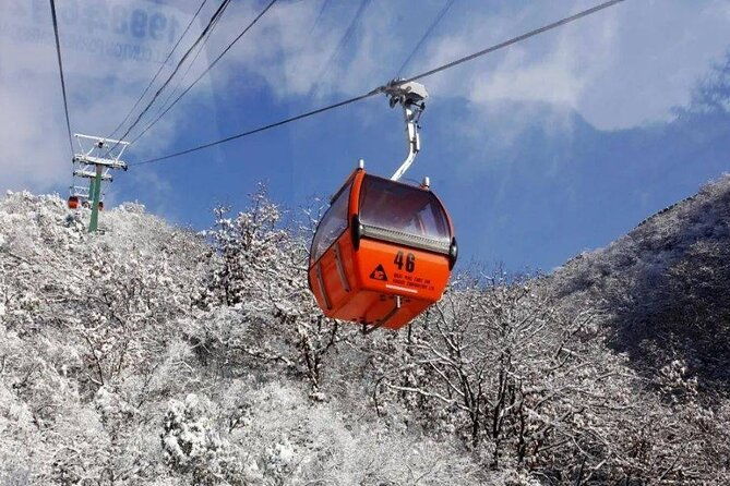 Private Day Tour to Beijing Mutianyu Great Wall - Practical Considerations