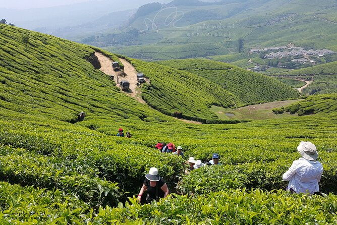 Private Day Trip to Munnar from Kochi (Cochin) - FAQ
