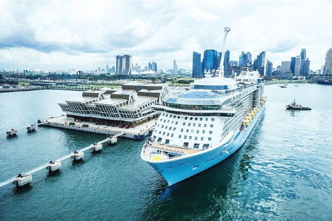 Private Departure Transfer From Singapore Hotel to Airport or Port - Who Should Opt for This Service?