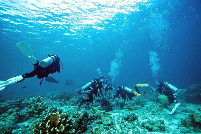 Private Diving Experience in Nusa Dua with Hotel Pick Up - The Sum Up