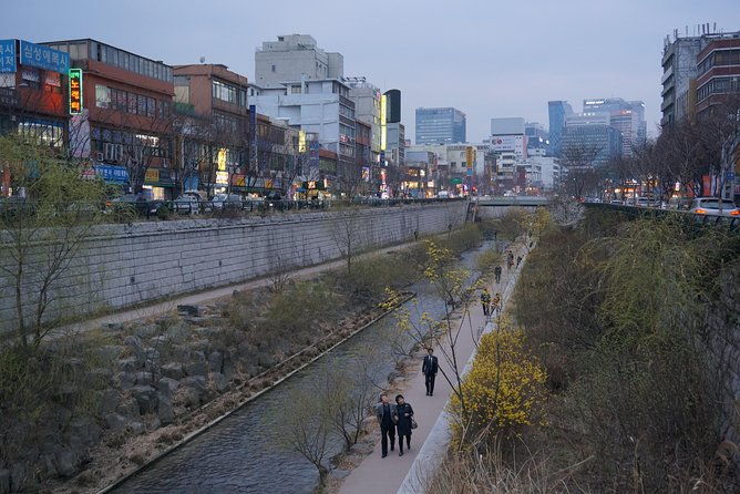 Private English Speaking Driver in Seoul: Airport Service Available - Real Insights from Traveler Reviews