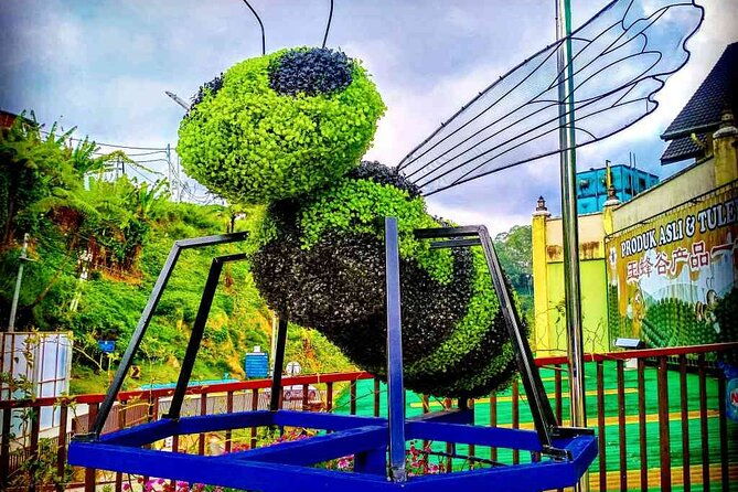 Private Full-Day Cameron Highlands Nature Tour from Kuala Lumpur - Frequently Asked Questions