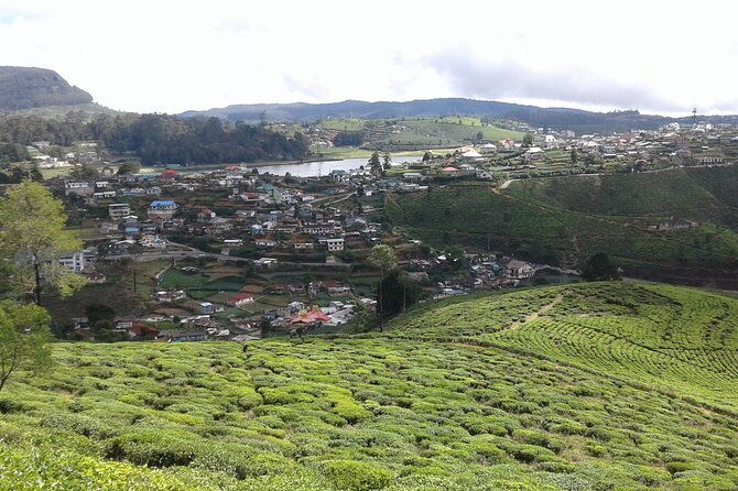 Private Full Day Tour to Nuwara Eliya from Kandy - Exploring Nuwara Eliya City