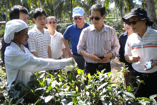 Private Galle Day Tour with Boat Safari & Tea Factory Visit - All Inclusive - Authenticity and Local Insights