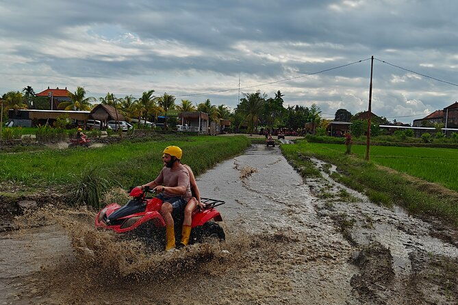 Private Guided Bali Swing and Waterfall Tour with ATV Quad Bike - The Sum Up