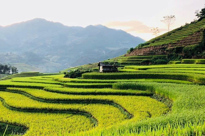 Private Half-Day Tour of Villages, Terrace Rice Fields by Car - FAQ