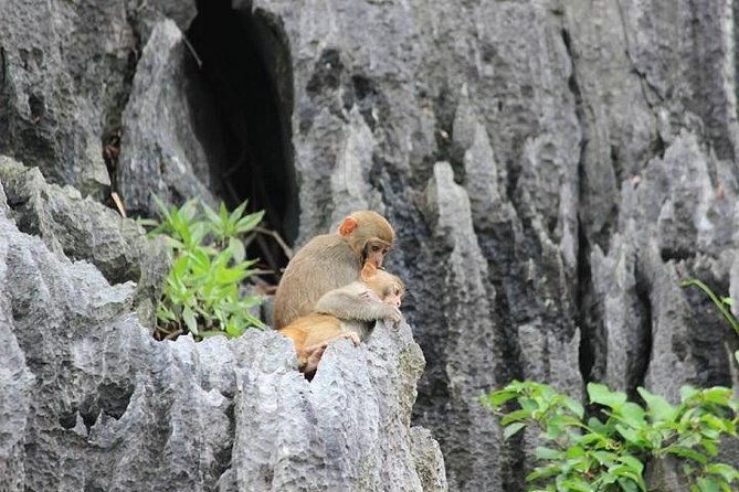 Private Halong Bay In Day - Final Thoughts