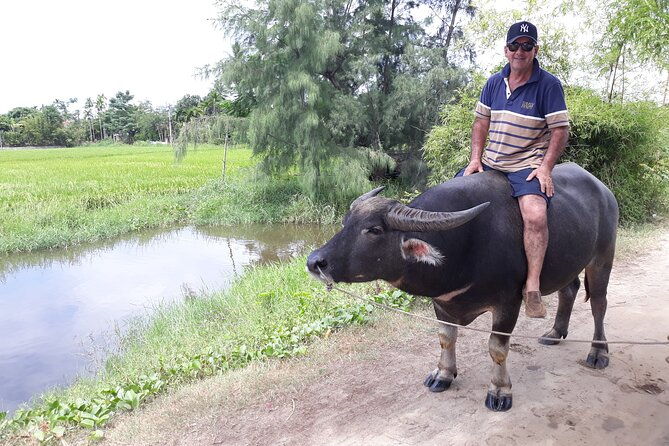 Private Hoi An Countryside: Biking, Basket boat, buffalo, foods - Practical Tips for Enjoying the Tour