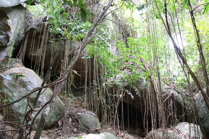 Private Koh Phangan Land Tour - Who Should Consider This Tour?