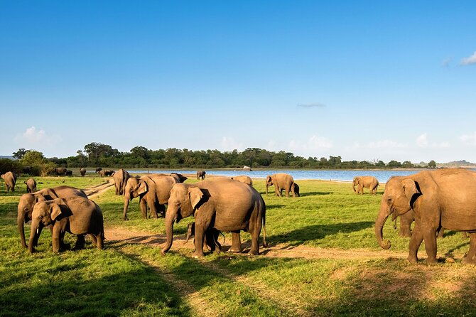 Private Multi-Day Outdoor Tour in Sri Lanka - The Sum Up